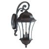 Waverly 3-Light Black Coral Wall Light