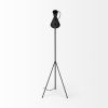Black and Brass Conical Metal Floor Lamp