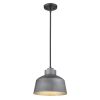 Barnes 1-Light Gray Convertible Pendant