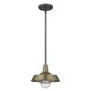 Brushed Gold Shallow Plate Adjustable Pendant Light