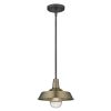 Brushed Gold Shallow Plate Adjustable Pendant Light
