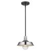 Silver Shallow Plate Adjustable Pendant Light