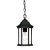 12" Narrow Matte Black Glass Lantern Hanging Light