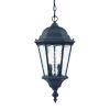 Two Light Matte Black Carousel Lantern Hanging Light