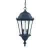 Two Light Matte Black Carousel Lantern Hanging Light