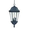 Telfair 3-Light Matte Black Hanging Light