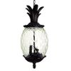 Clear and Black Three Light Pineapple Outdoor Hanging Pendent Light