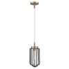Gold and Black Metal Cage Pendant Hanging Light