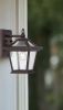 Antique Bronze Birdhouse Shape Outdoor Wall Light
