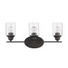 Three Light Bronze Wall Light with Clear Glass Shade